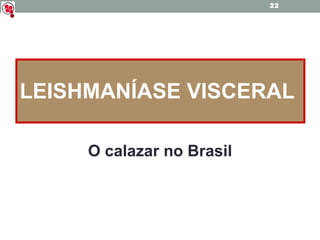 LEISHMANÍASE VISCERAL O calazar no Brasil 
