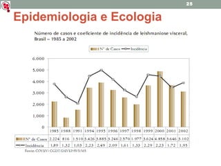 Epidemiologia e Ecologia 