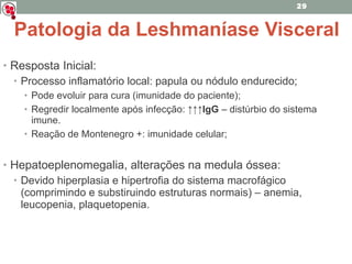 Resposta Inicial: Processo inflamatório local: papula ou nódulo endurecido; Pode evoluir para cura (imunidade do paciente); Regredir localmente após infecção:  ↑↑↑IgG  – distúrbio do sistema imune. Reação de Montenegro +: imunidade celular; Hepatoeplenomegalia, alterações na medula óssea: Devido hiperplasia e hipertrofia do sistema macrofágico (comprimindo e substiruindo estruturas normais) – anemia, leucopenia, plaquetopenia. Patologia da Leshmaníase Visceral 