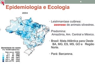 Epidemiologia e Ecologia Leishmaníase cutânea:  zoonose   de animais silvestres. Predomina:  Amazônia, Am. Central e México. Brasil: Mata Atlântica para Oeste BA, MG, ES, MS, GO e  Região Norte. Pará: Barcarena. 