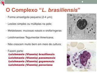 O Complexo “ L. brasiliensis ” Forma amastigota pequena (2-4 µm); Lesões simples ou múltiplas na pele; Metástases: mucosas nasais e orofaríngeras  Leishmaníase Tegumentar Americana; Não crescem muito bem em meio de cultura; Fazem parte: Leishmania (Viannia) braziliensis Leishmania (Viannia) panamensis Leishmania (Viannia) guyanensis Leishmania (Viannia) peruviana 