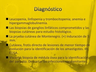 DiagnósticoLeucopenia, linfopenia y trombocitopenia; anemia e hipergammaglobulinemia.Las biopsias de ganglios linfáticos comprometidos y las biopsias cutáneas para estudio histológico.La prueba cutánea de Montenegro. (+) induración de 5 mm.Cutánea, frotis directo de lesiones de menor tiempo de evolución para la identificación de los amastigotes. IFI, ELISA.Visceral; biopsia de médula ósea para la identificación del parásito. Descartar las infecciones concomitantes.