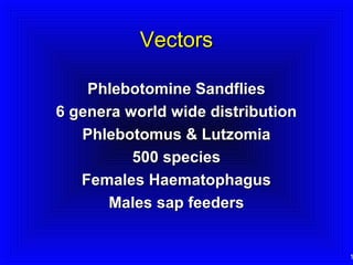 Vectors
Phlebotomine Sandflies
6 genera world wide distribution
Phlebotomus & Lutzomia
500 species
Females Haematophagus
Males sap feeders

1

 