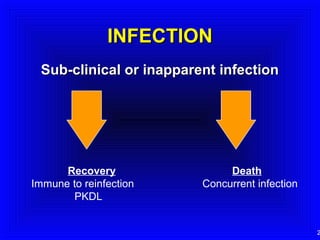 INFECTION
Sub-clinical or inapparent infection

Recovery
Immune to reinfection
PKDL

Death
Concurrent infection

2

 