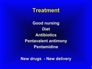Treatment
Good nursing
Diet
Antibiotics
Pentavalent antimony
Pentamidine
New drugs - New delivery

3

 