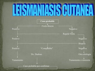 Caso probable
Frotis directo
Positivo

Negativo
Repetir frotis

Positivo

Negativo
Biopsia

Positiva

“Compatible”
Dx. Dudoso

Tratamiento

Negativa
Otra etiología
Tratamiento o remisión

Caso probable por confirmar

 