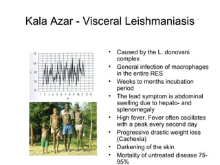 Kala Azar - Visceral Leishmaniasis
• Caused by the L. donovani
complex
• General infection of macrophages
in the entire RES
• Weeks to months incubation
period
• The lead symptom is abdominal
swelling due to hepato- and
splenomegaly
• High fever. Fever often oscillates
with a peak every second day
• Progressive drastic weight loss
(Cachexia)
• Darkening of the skin
• Mortality of untreated disease 75-
95%
 