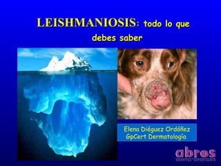 LEISHMANIOSISLEISHMANIOSIS: todo lo que: todo lo que
debes saberdebes saber
Elena Diéguez Ordóñez
GpCert Dermatología
 