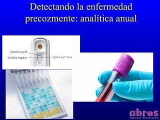 Detectando la enfermedad
precozmente: analítica anual
 
