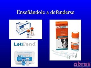 Enseñándole a defenderse
 