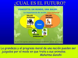 ¿CUAL ES EL FUTURO?
La grandeza y el progreso moral de una nación pueden ser
juzgados por el modo en que trata a sus animales.
Mahatma Gandhi
 