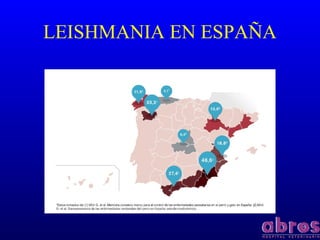 LEISHMANIA EN ESPAÑA
 