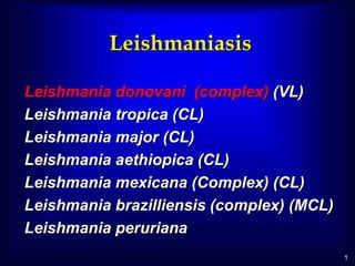 1
Leishmaniasis
Leishmania donovani (complex) (VL)
Leishmania tropica (CL)
Leishmania major (CL)
Leishmania aethiopica (CL)
Leishmania mexicana (Complex) (CL)
Leishmania brazilliensis (complex) (MCL)
Leishmania peruriana
 