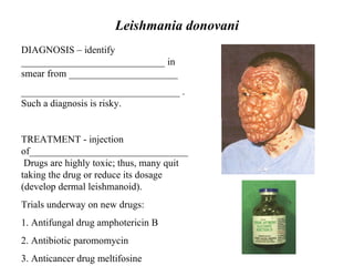Paromomycin Injection Leishmania And Trypanosoma | PPT
