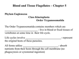 Blood and Tissue Flagellates – Chapter 5 Phylum Euglenozoa   Class Kinetoplasta  Order Trypanosomatida The Order Trypanosomatida   contains members which are  _________________________  - live in blood or fixed tissues of vertebrates at some time in  their life cycle. Life cycles involve  ___________________________ - represent the original hosts of these parasites. All forms utilize  ___________________________ - absorb nutrients from their hosts through the cell membrane (no phagocytosis or cytostomal ingestion) 