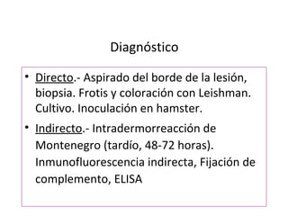 Diagnóstico

• Directo.- Aspirado del borde de la lesión,
  biopsia. Frotis y coloración con Leishman.
  Cultivo. Inoculación en hamster.
• Indirecto.- Intradermorreacción de
  Montenegro (tardío, 48-72 horas).
  Inmunofluorescencia indirecta, Fijación de
  complemento, ELISA
 