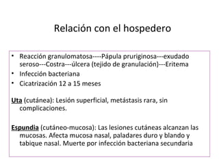 Relación con el hospedero

• Reacción granulomatosa----Pápula pruriginosa---exudado
  seroso---Costra---úlcera (tejido de granulación)---Eritema
• Infección bacteriana
• Cicatrización 12 a 15 meses

Uta (cutánea): Lesión superficial, metástasis rara, sin
  complicaciones.

Espundia (cutáneo-mucosa): Las lesiones cutáneas alcanzan las
  mucosas. Afecta mucosa nasal, paladares duro y blando y
  tabique nasal. Muerte por infección bacteriana secundaria
 