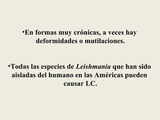 •En formas muy crónicas, a veces hay
        deformidades o mutilaciones.


•Todas las especies de Leishmania que han sido
 aisladas del humano en las Américas pueden
                  causar LC.
 