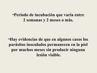 •Período de incubación que varía entre
        2 semanas y 2 meses o más.



•Hay evidencias de que en algunos casos los
parásitos inoculados permanecen en la piel
 por muchos meses sin producir ninguna
               lesión visible.
 