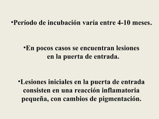 •Período de incubación varía entre 4-10 meses.


    •En pocos casos se encuentran lesiones
           en la puerta de entrada.


  •Lesiones iniciales en la puerta de entrada
    consisten en una reacción inflamatoria
   pequeña, con cambios de pigmentación.
 