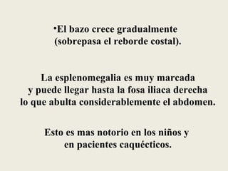 •El bazo crece gradualmente
       (sobrepasa el reborde costal).


     La esplenomegalia es muy marcada
  y puede llegar hasta la fosa iliaca derecha
lo que abulta considerablemente el abdomen.


     Esto es mas notorio en los niños y
         en pacientes caquécticos.
 