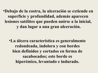 •Debajo de la costra, la ulceración se extiende en
   superficie y profundidad, además aparecen
 lesiones satélites que pueden unirse a la inicial,
        y dan lugar a una gran ulceración.


   •La úlcera característica es generalmente
      redondeada, indolora y con bordes
     bien definidos y cortados en forma de
           sacabocados; este borde es
       hiperémico, levantado e indurado.
 