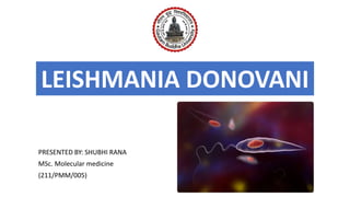 LEISHMANIA DONOVANI
PRESENTED BY: SHUBHI RANA
MSc. Molecular medicine
(211/PMM/005)
 