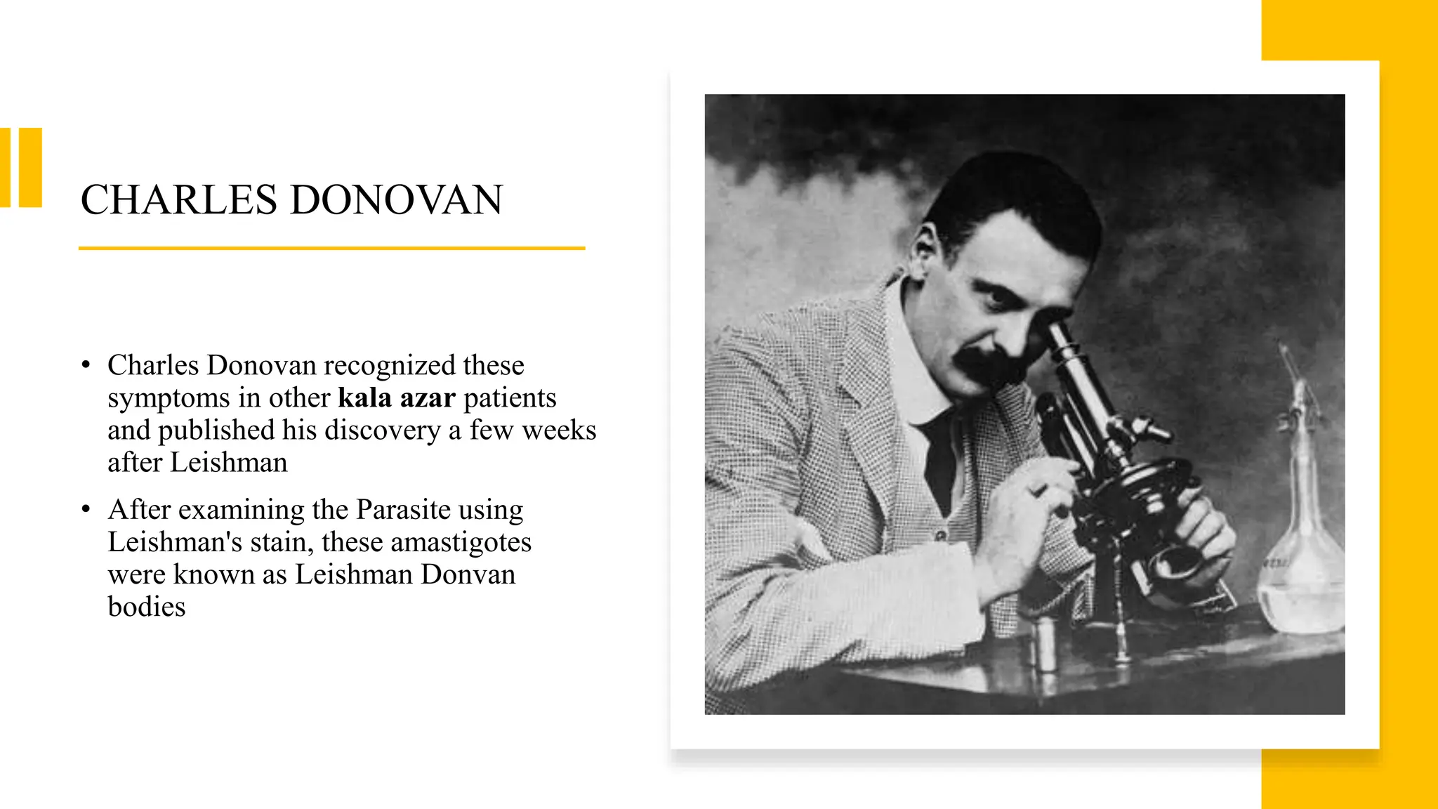 LEISHMANIA DONOVANI .pptx