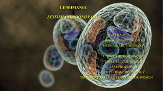 LEISHMANIA
LEISHMANIA DONOVANI
BY
NIVETHA .R
II-MSC MICROBIOLOGY
MEDICAL MICROBIOLOGY
UNDER THE GUIDANCE OF
MRS.S.SELVAJEYANTHI
ASST.PROFESSOR,
DEPT,OF,MICROBIOLOGY
TIRUPPUR KUMARAN COLLEGE FOR WOMEN
 