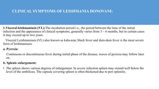 CLINICAL SYMPTOMS OF LEISHMANIA DONOVANI:
1.Visceral leishmaniasis (VL):The incubation period i.e., the period between the time of the initial
infection and the appearance of clinical symptoms, generally varies from 3 – 6 months, but in certain cases
it may exceed up to two years.
Visceral Leishmaniasis (VL) also known as kala-azar, black fever and dum-dum fever is the most severe
form of leishmaniasis.
a. Pyrexia:
Continuous or discontinuous fever during initial phase of the disease, waves of pyrexia may follow later
on.
b. Splenic enlargement:
• The spleen shows various degrees of enlargement. In severe infection spleen may extend well below the
level of the umbilicus. The capsule covering spleen is often thickened due to peri splenitis.
 