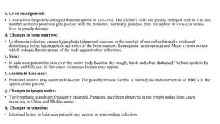 c. Liver enlargement:
• Liver is less frequently enlarged than the spleen in kala-azar. The Kuffer’s cells are greatly enlarged both in size and
number as their cytoplasm gets packed with the parasites. Normally jaundice does not appear in kala-azar unless
liver is greatly damage.
d. Changes in bone marrow:
• Leishmania infection causes hyperplasia (abnormal increase in the number of normal cells) and a profound
disturbance in the haemopoietic activities of the bone marrow. Leucopenia (neutropenia) and Mono cytosis occurs
which reduces the resistance of the body against other infections.
e. Skin:
• In kala-azar patient the skin over the entire body become dry, rough, harsh and often darkened The hair tends to be
brittle and falls out. In few cases cutaneous lesions may appear.
f. Anemia in kala-azar:
• Profound anemia may occur in kala-azar. The possible reason for this is haemolysis and destruction of RBC’s in the
spleen of the patient.
g. Changes in lymph nodes:
• The lymphatic glands are frequently enlarged. Parasites have been observed in the lymph nodes from cases
occurring in China and Mediterranee.
h. Changes in intestine:
• Intestinal lesion in kala-azar patients may appear as a secondary infection.
 