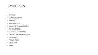 SYNOPSIS
• HISTORY
• CLASSIFICATION
• HABITAT
• MORPHOLOGY
• MODE OF TRANSMISSION
• PATHOGENESIS
• CLINICAL SYMPTOMS
• LABORATORIES DIAGNOSIS
• TREATMENT
• PREVENTION
• MIND MAP
• MCQ
 