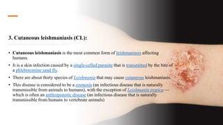 3. Cutaneous leishmaniasis (CL):
• Cutaneous leishmaniasis is the most common form of leishmaniasis affecting
humans.
• It is a skin infection caused by a single-celled parasite that is transmitted by the bite of
a phlebotomine sand fly.
• There are about thirty species of Leishmania that may cause cutaneous leishmaniasis.
• This disease is considered to be a zoonosis (an infectious disease that is naturally
transmissible from animals to humans), with the exception of Leishmania tropica —
which is often an anthroponotic disease (an infectious disease that is naturally
transmissible from humans to vertebrate animals)
 
