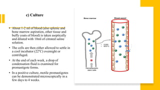 c) Culture
• About 1-2 ml of blood (also splenic and
bone marrow aspiration, other tissue and
buffy coats of blood) is taken aseptically
and diluted with 10ml of citrated saline
solution.
• The cells are then either allowed to settle in
a cool incubator (22°C) overnight or
centrifuged.
• At the end of each week, a drop of
condensation fluid is examined for
promastigote forms.
• In a positive culture, motile promastigotes
can be demonstrated microscopically in a
few days to 4 weeks.
 