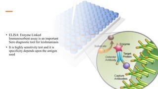 • ELISA: Enzyme Linked
Immunosorbent assay is an important
Sero diagnostic tool for leishmaniasis
• It is highly sensitivity test and it is
specificity depends upon the antigen
used
 