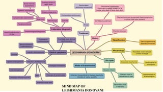 MIND MAP OF
LEISHMANIA DONOVANI
 