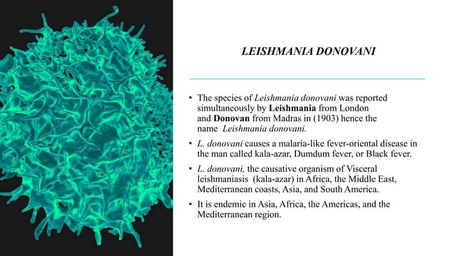 LEISHMANIA DONOVANI .pptx | Geography | Science