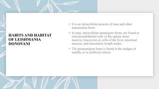 HABITS AND HABITAT
OF LEISHMANIA
DONOVANI
 