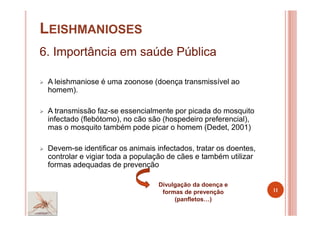 LEISHMANIOSES
6. Importância em saúde Pública
A leishmaniose é uma zoonose (doença transmissível ao
homem).
A transmissão faz-se essencialmente por picada do mosquito
infectado (flebótomo), no cão são (hospedeiro preferencial),
mas o mosquito também pode picar o homem (Dedet, 2001)
Devem-se identificar os animais infectados, tratar os doentes,
controlar e vigiar toda a população de cães e também utilizar
formas adequadas de prevenção
11
Divulgação da doença e
formas de prevenção
(panfletos )
 