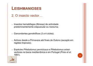 LEISHMANIOSES
2. O insecto vector
Insectos hematófagos (fêmeas) de actividade
predominantemente crepuscular ou nocturna;
Concordantes gonotróficos (3 a 4 ciclos);
Activos desde a Primavera até finais de Outono (excepto em
regiões tropicais);
Espécies Phlebotomus perniciosus e Phlebotomus ariasi-
vectores na bacia mediterrânica e em Portugal (Pires et al,
1991). 6
 