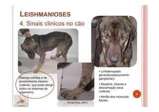 LEISHMANIOSES
4. Sinais clínicos no cão
8
Doença crónica e de
envolvimento viscero-
cutâneo, que pode atingir
todos os sistemas do
organismo.
• Linfadenopatia
generalizada(aumento
ganglionar);
• Alopécia, úlceras e
descamação seca
cutânea;
• Atrofia dos músculos
faciais.
(Fonte: Faria, 2007)
 