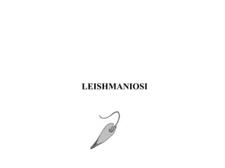 LEISHMANIOSI 