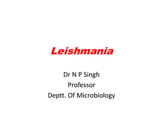 Leishmania

     Dr N P Singh
       Professor
Deptt. Of Microbiology
 