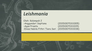 Leishmania
Oleh: Kelompok 2
-Anggundari Septiana (201510070311005)
-Agus Prianto (201510070311015)
-Enies Nabila Fithri Tiara Sari (201510070311038)
 