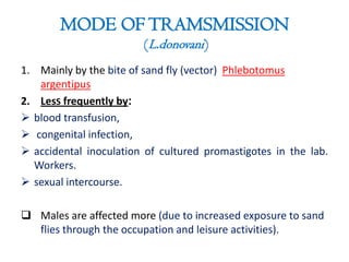 MODE OF TRAMSMISSION
(L.donovani)
1. Mainly by the bite of sand fly (vector) Phlebotomus
argentipus
2. LesS frequently by:
 blood transfusion,
 congenital infection,
 accidental inoculation of cultured promastigotes in the lab.
Workers.
 sexual intercourse.

 Males are affected more (due to increased exposure to sand
flies through the occupation and leisure activities).

 