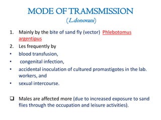 MODE OFTRAMSMISSION
(L.donovani)
1. Mainly by the bite of sand fly (vector) Phlebotomus
argentipus
2. Les frequently by
• blood transfusion,
• congenital infection,
• accidental inoculation of cultured promastigotes in the lab.
workers, and
• sexual intercourse.
 Males are affected more (due to increased exposure to sand
flies through the occupation and leisure activities).
 