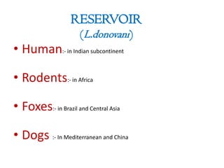RESERVOIR
(L.donovani)
• Human:- in Indian subcontinent
• Rodents:- in Africa
• Foxes:- in Brazil and Central Asia
• Dogs :- In Mediterranean and China
 