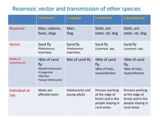 L.donovani L.tropica L.mexicana L.braziliensis
Reservoir Man, rodents,
foxes, dogs
Man,
Dog
Sloth, ant
eater, rat, dog
Sloth, ant
eater, rat, dog
Vector Sand fly
Phlebotomus
argentipus
Sand fly
Phlebotomus
argentipus
Sand fly
Lutzomyia spp.,
Sand fly
Lutzomyia spp.,
Mode of
transmission
•Bite of sand
fly
•blood transfusion
•Congenital
infection
•sexual intercourse
Bite of sand fly •Bite of sand
fly,
•Bite of ticks ,
•autoinfection
•Bite of sand
fly,
•Bite of ticks ,
•autoinfection
Individual at
risk
Males are
affected more
Adolescents and
young adults
Persons working
at the edge of
forest and in the
people staying in
rural areas.
Persons working
at the edge of
forest and in the
people staying in
rural areas.
Reservoir, vector and transmission of other species
 