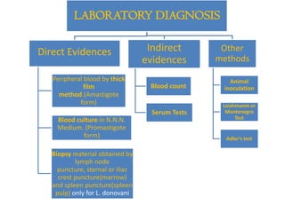 LABORATORY DIAGNOSIS
Direct Evidences
Peripheral blood by thick
film
method.(Amastigote
form)
Blood culture in N.N.N.
Medium. (Promastigote
form)
Biopsy material obtained by
lymph node
puncture, sternal or iliac
crest puncture(marrow)
and spleen puncture(spleen
pulp) only for L. donovani
Indirect
evidences
Blood count
Serum Tests
Other
methods
Animal
inoculation
Leishmanin or
Montenegro
Test
Adler’s test
 