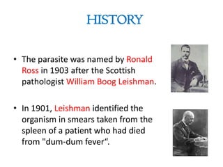 HISTORY
• The parasite was named by Ronald
Ross in 1903 after the Scottish
pathologist William Boog Leishman.
• In 1901, Leishman identified the
organism in smears taken from the
spleen of a patient who had died
from "dum-dum fever“.
 